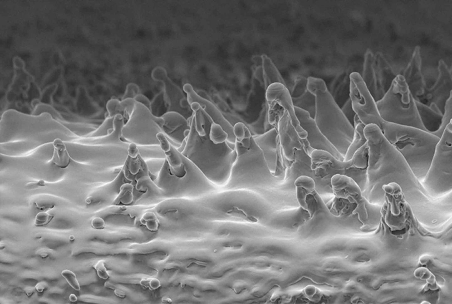 New Materials CERN